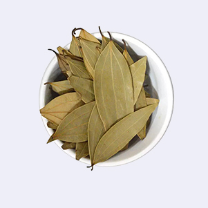 ورق غار